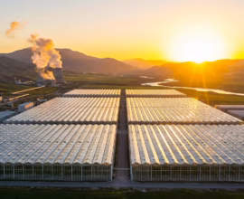 2026’ya giderken türkiye tarım desteklerinin yeni haritası hangi Üretim modeli ayakta kalacak 01