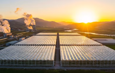 2026’ya giderken türkiye tarım desteklerinin yeni haritası hangi Üretim modeli ayakta kalacak 01