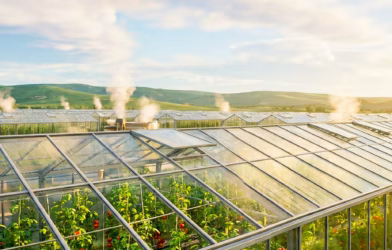 jeotermal tarım kuşağı genişliyor türkiye kontrollü Üretimde lider 01