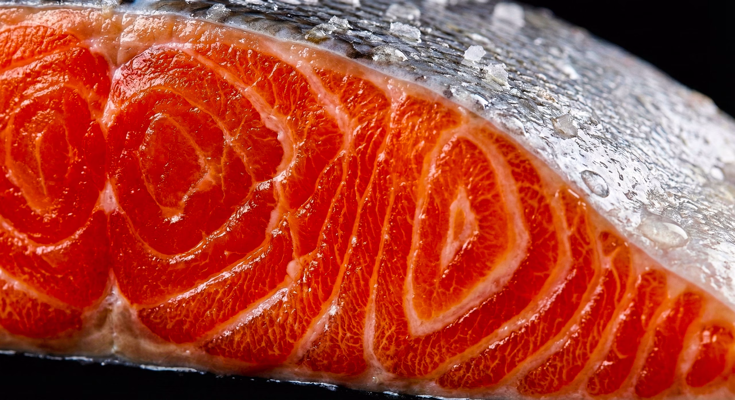 karadeniz’in kızıl elması türk somonu İhracatta 1 milyar dolar sınırına dayandı 02