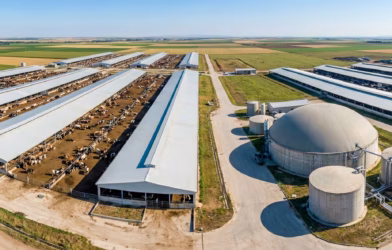 tarımda yeşil devrim hayvancılıkta metan emisyonunu azaltan yerli teknoloji sahada 0 1