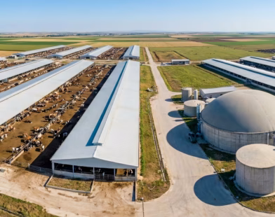 tarımda yeşil devrim hayvancılıkta metan emisyonunu azaltan yerli teknoloji sahada 0 1