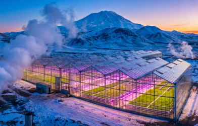 topraksız devrim jeotermal Üretim kuşağı büyüyor ve 2026 sera vizyonu 01