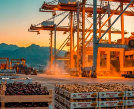 Üretim artıyor, pazar genişliyor 2026’ya girerken türkiye gıda ve tarımda küresel tedarikçi rolünü nasıl güçlendiriyor 01