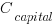 C_{capital}